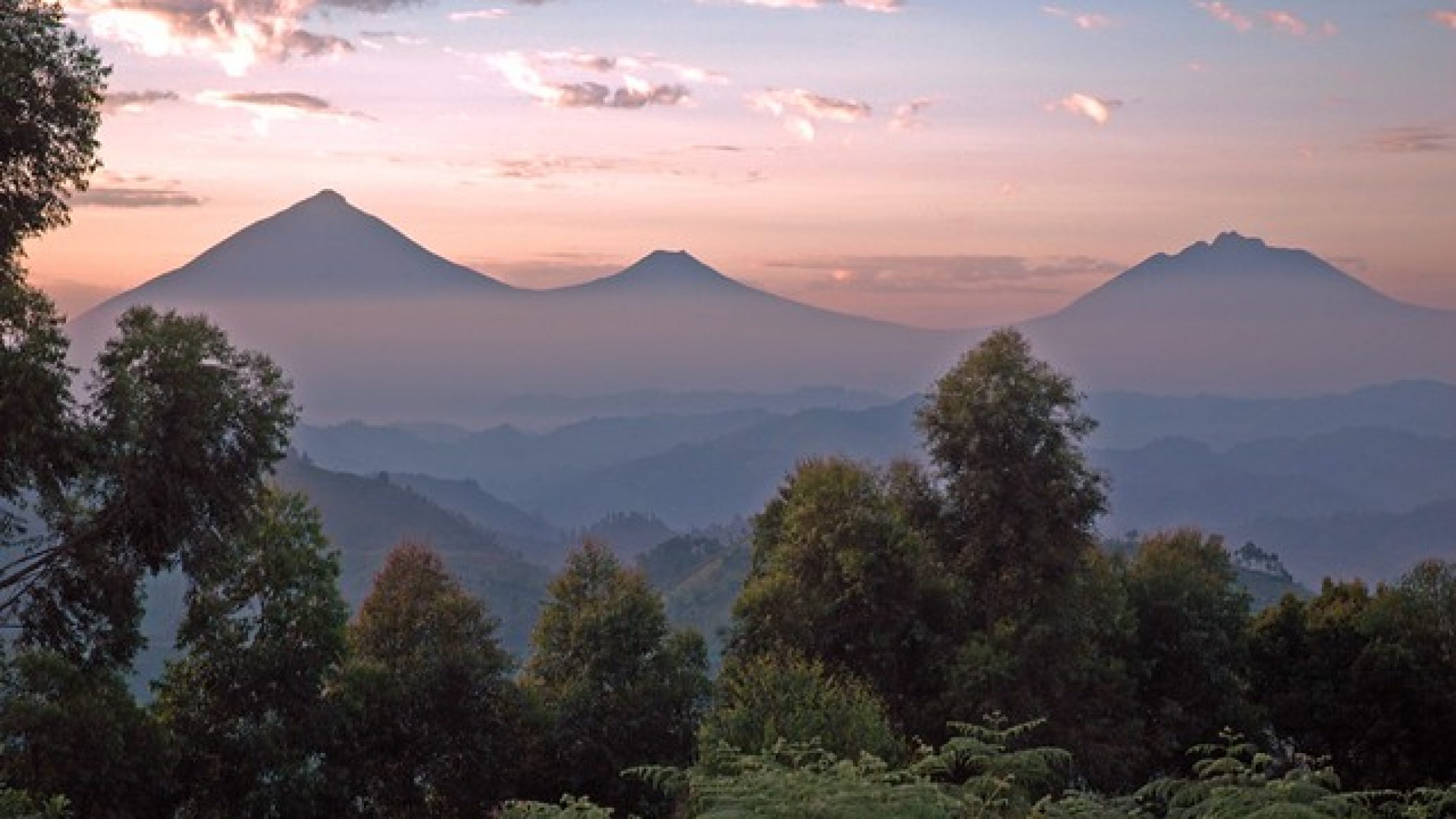 2721741515_8cc22b0a48_z_1_